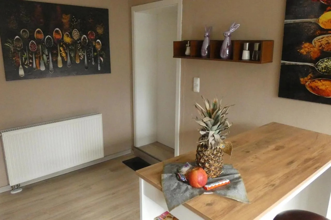 Ferienwohnung Dachterrasse Schwandorf in Bayern Deutschland